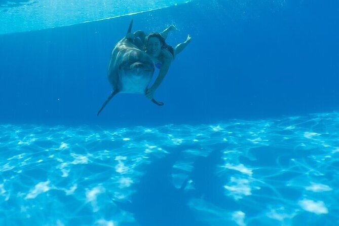 The only Natural Space Dolphin Encounter in Cabo Optional Pickup! - Bottlenose Education: What the Trainers Explain and Why It Matters