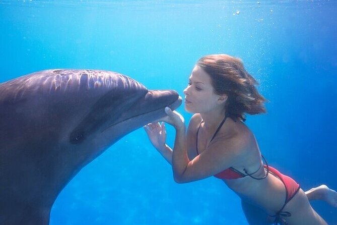 The only Natural Space Dolphin Encounter in Cabo Optional Pickup! - Price, Pickup Add-On, and Photo Budget Reality