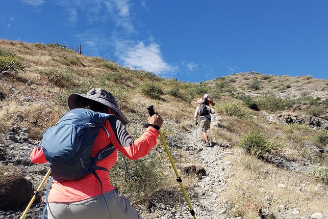 The Ultimate Camel Safari Experience in Los Cabos - Quick hits: what makes this camel safari work