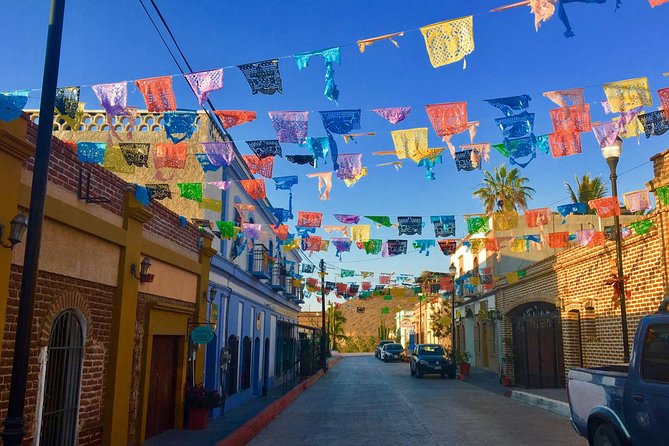 Todos Santos Day Trip from Cabo San Lucas - Hotel California and La Coronela lunch: iconic, but manage expectations