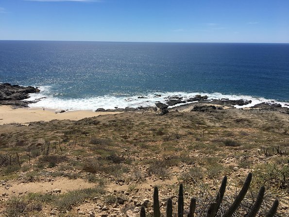 Todos Santos Day Trip from Cabo San Lucas - Tequila tasting: included, but alcohol is limited to the tasting