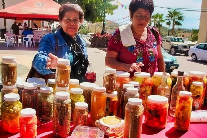 Todos Santos Magical Town Day-Trip - How guides shape the whole experience