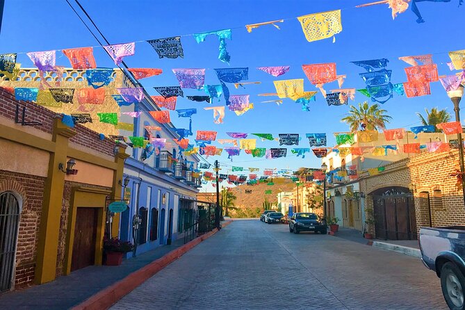 Todos Santos Magical Town Guided Tour - Lunch and Shopping Time: How to Spend Wisely