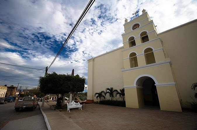 Todos Santos Private 6 hrs 1-08 paxs - The Highway 19 Ride: Ocean Views and Real-Time Convenience