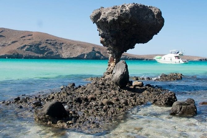 Tour to Playa La Paz from Cabo San Lucas - Key things to know before you go
