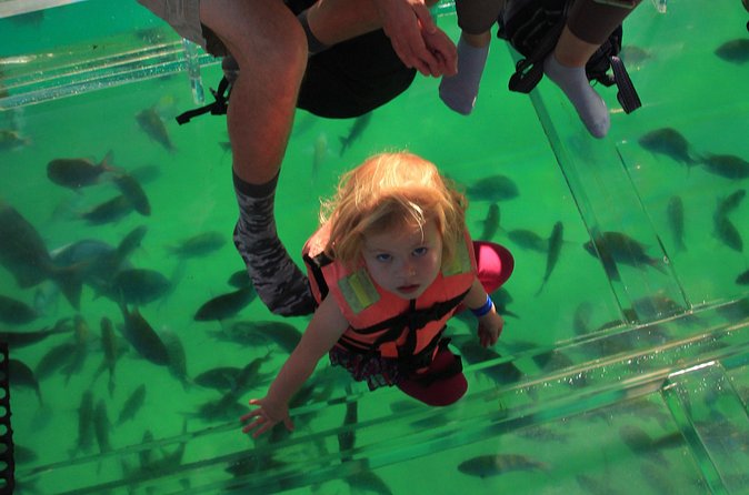 Tour to the Arch of Cabo San Lucas in a transparent glass boat - Tequila Tasting at Hacienda Tequila: What You Get Out of It
