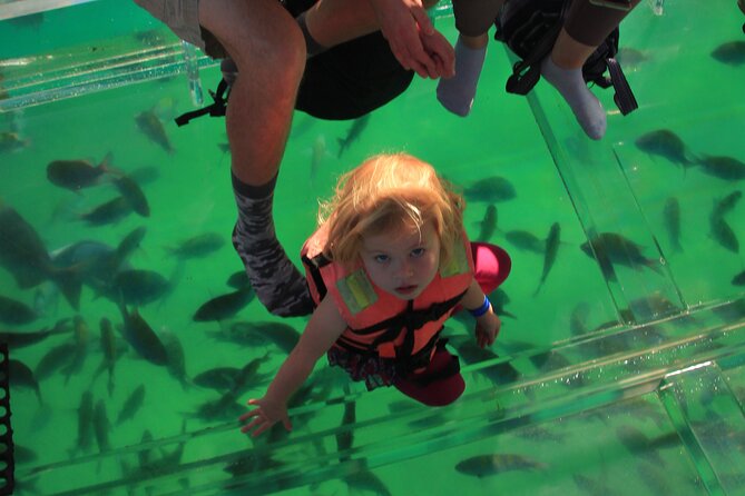Tour to the Arch of Cabo San Lucas in a transparent glass boat - Pickup and Timing: How the 2-Hour Plan Fits