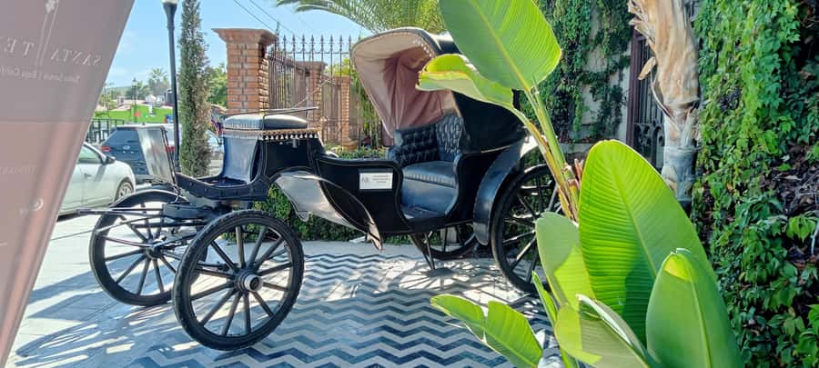 Tour Todos Santos Magical Town, Hotel California - Key Things That Make This Tour Worth Your Time