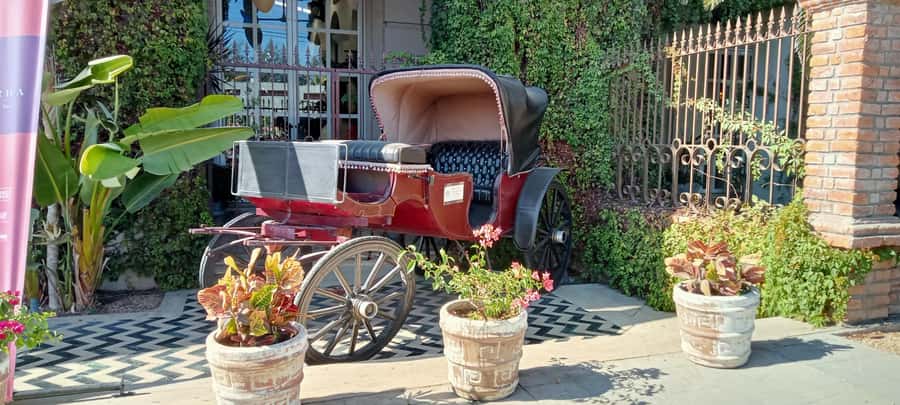 Tour Todos Santos Magical Town, Hotel California - A Five-Hour Todos Santos Plan That Actually Works