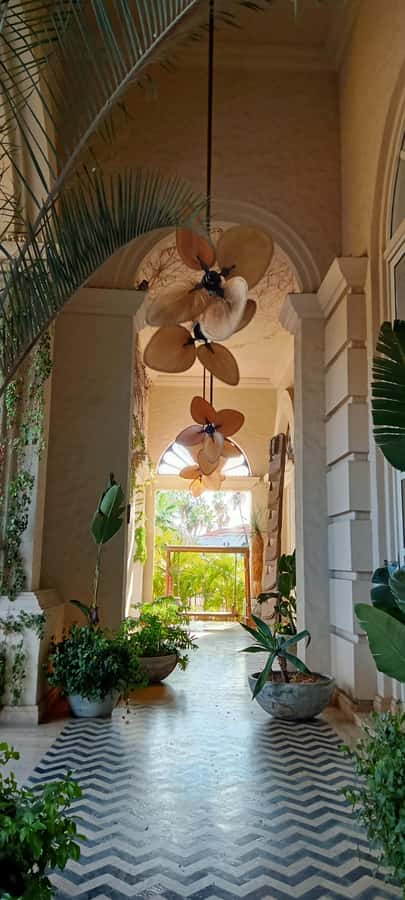 Tour Todos Santos Magical Town, Hotel California - Handicrafts at the Blanket Factory: What to Buy, How to Shop