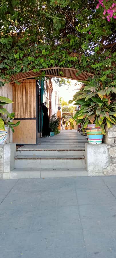 Tour Todos Santos Magical Town, Hotel California - Price and Value: How $350 for Up to 5 Makes Sense