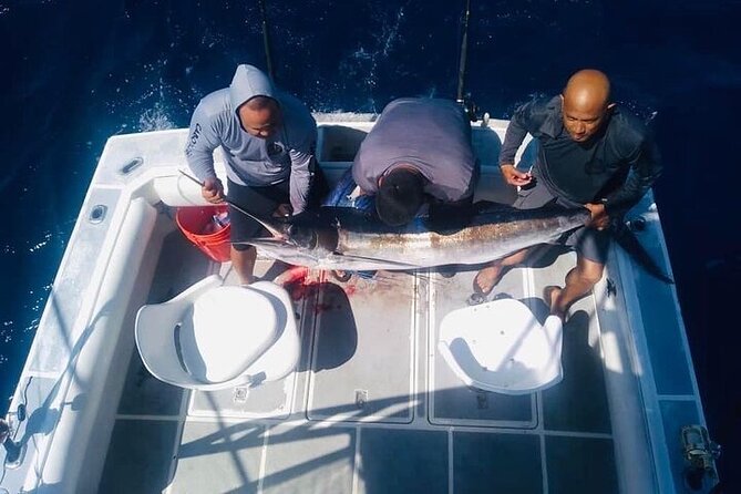 Ultimate Fishing Experience in Cabo - El Arco de Cabo San Lucas: the famous landmark that frames the fishing day