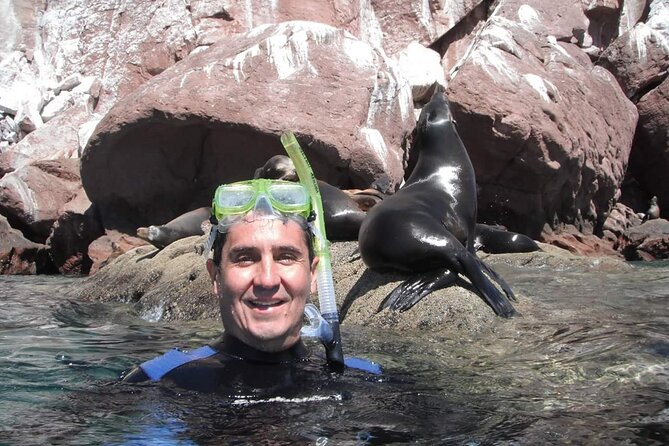 unforgettable snorkeling activity in The Sea of Cortes - Entering the Sea of Cortes at Playa el Chileno
