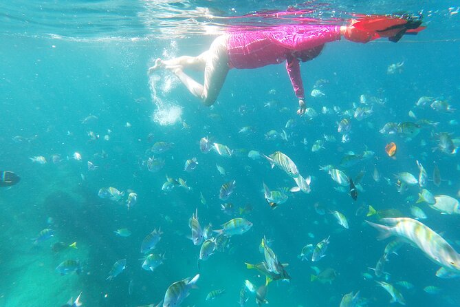 unforgettable snorkeling activity in The Sea of Cortes - The snorkeling setup: gear, fit, and safety you can feel