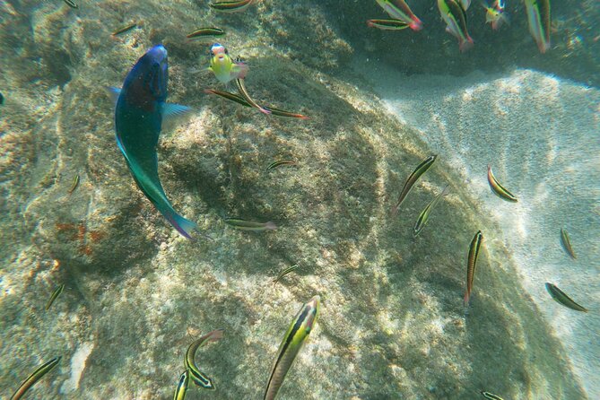 unforgettable snorkeling activity in The Sea of Cortes - Price and value: what $120 gets you in real terms