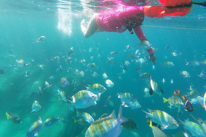 unforgettable snorkeling activity in The Sea of Cortes - VIP beach camp before and after the water