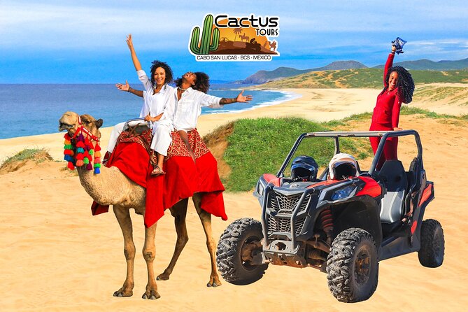UTV Adventure with Free Camel Ride and Sky Bikes - Camel encounter and beach riding: slower, gentler, still memorable