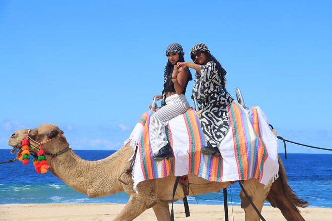 UTV Adventure with Free Camel Ride and Sky Bikes - Price and the real cost: what $175 becomes on the day