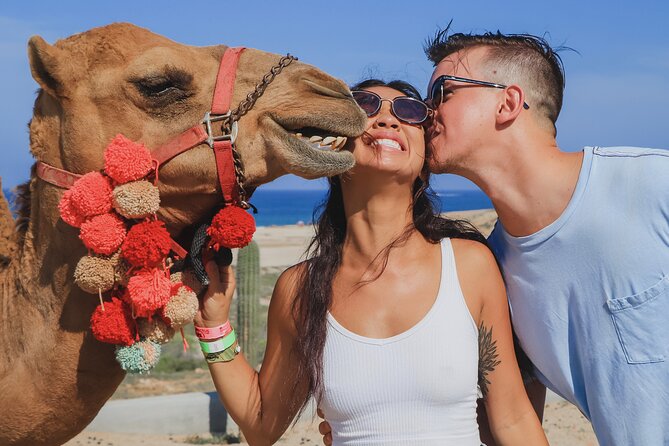 UTV Adventure with Free Camel Ride and Sky Bikes - Getting started at Cactus Tours: the guide-led route idea