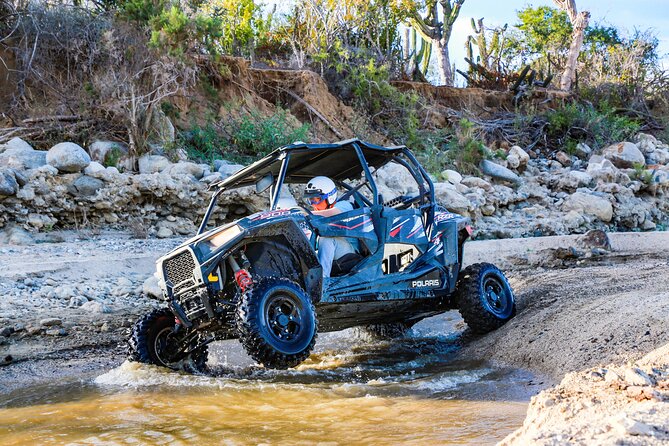 UTV and Camel Ride in the Cabo Desert - Key highlights to plan around