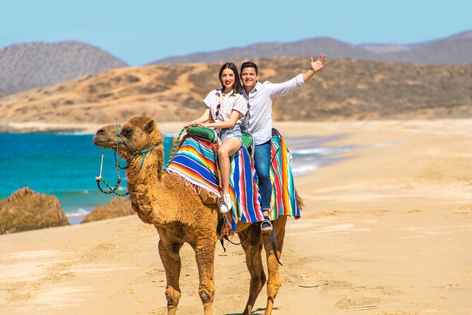 UTV and Camel Ride in the Cabo Desert - Cabo Desert UTV and Camel Ride, why this combo works