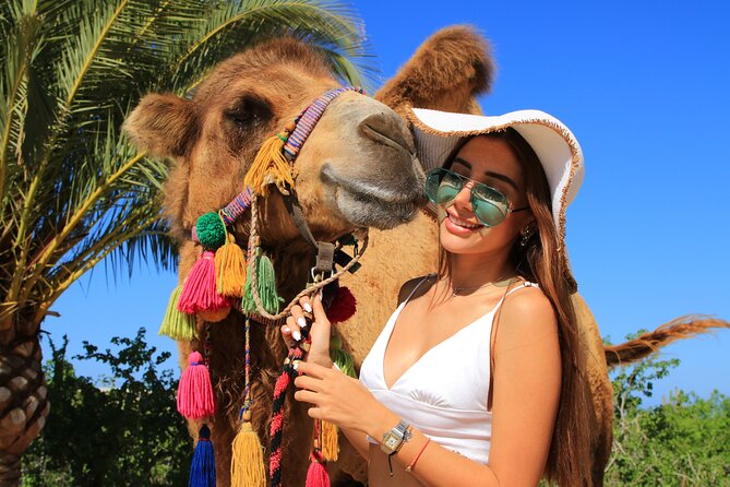UTV and Camel Ride in the Cabo Desert - Camel ride timing, what to expect, and the photo rules