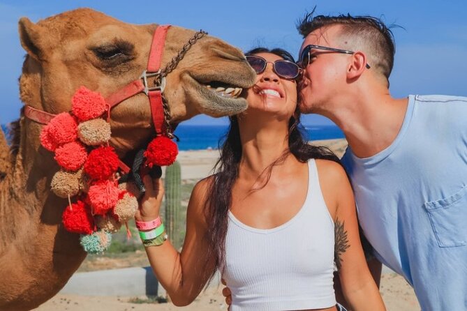 UTV and Camel Ride in the Cabo Desert - What the small-group size means for your comfort