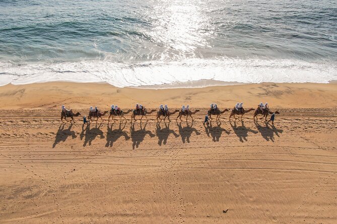 UTV and Camel Ride in the Cabo Desert - Who should book this UTV and camel ride