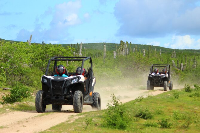 Viper Trail UTV Small-Group Experience in Cabo San Lucas - Key highlights at a glance