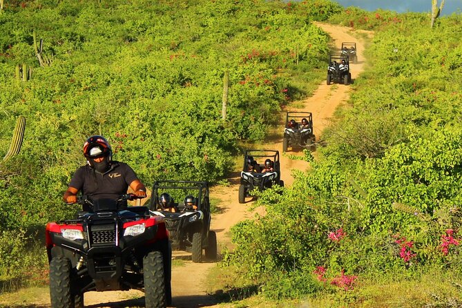 Viper Trail UTV Small-Group Experience in Cabo San Lucas - The ride itinerary, Cabo stop, and the stops that make it feel like Baja