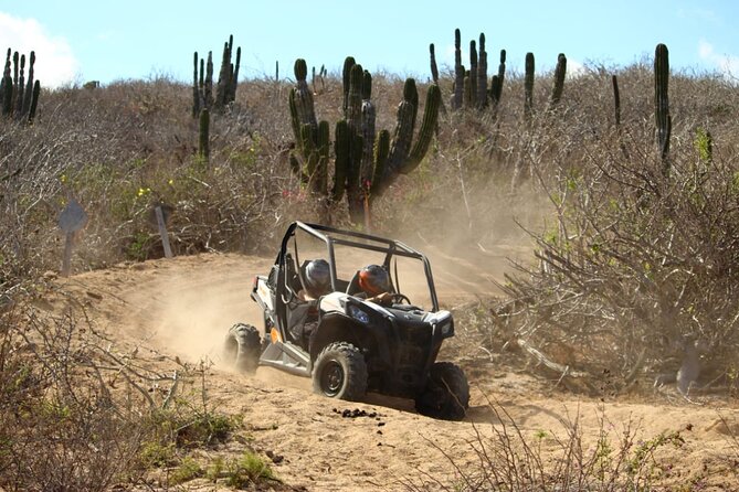 Viper Trail UTV Small-Group Experience in Cabo San Lucas - Photos, phone rules, and what to budget for