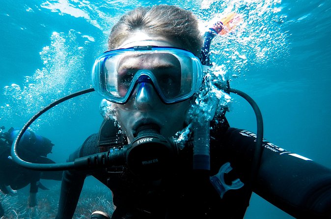 Whale and Dive Combo Tour in Los Cabos - Picking the right guide energy for you
