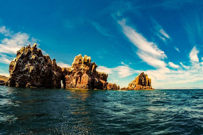 Whale Shark & Sea Lion Snorkeling Picnic at Espiritu Santo Island - Who should book this whale shark and sea lion day