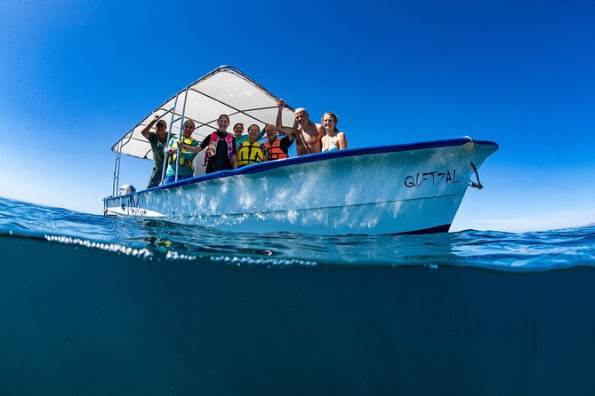 Whale Shark snorkeling tour in a reduced group with local marine biologist - Key points before you go