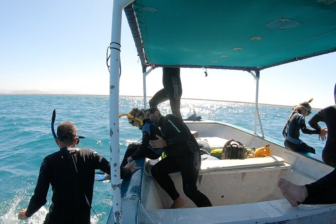 Whale Shark Swimming Adventure: Small Group with Marine Biologist - Whale shark time in La Paz: why this trip is worth your attention