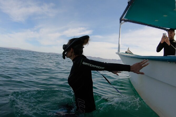 Whale Shark Swimming Adventure: Small Group with Marine Biologist - How the search works, and why your swim time may be short