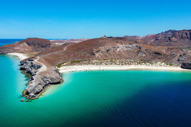 Whale sharks and sea lions snorkeling plus Balandra beach lunch - Quick highlights that matter before you go