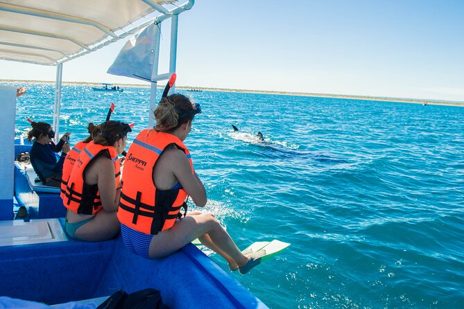 Whale sharks and sea lions snorkeling plus Balandra beach lunch - Morning setup in La Paz: finding the marina and staying on time