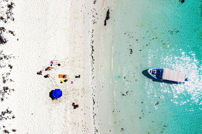 Whale sharks and sea lions snorkeling plus Balandra beach lunch - Wildlife etiquette with whale sharks and what the guides focus on