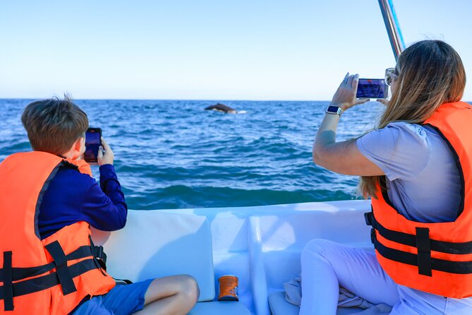 Whale Tour, Arch, Professional Photos & Hydrophone - The Arch Stop and Hydrophone Whale Sounds in Cabo San Lucas