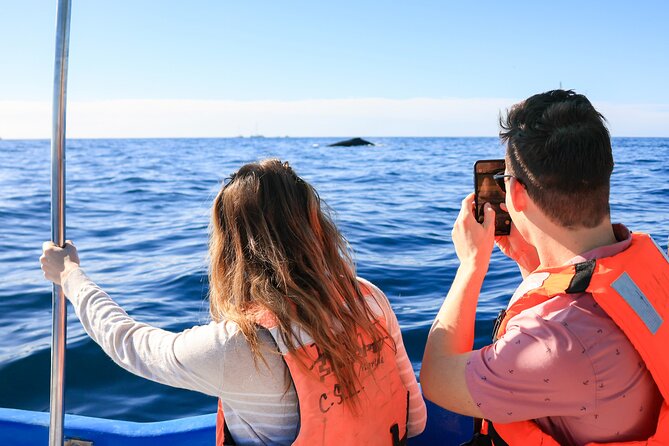 Whale Tour, Arch, Professional Photos & Hydrophone - Price and Value: Is $142.38 Worth It?