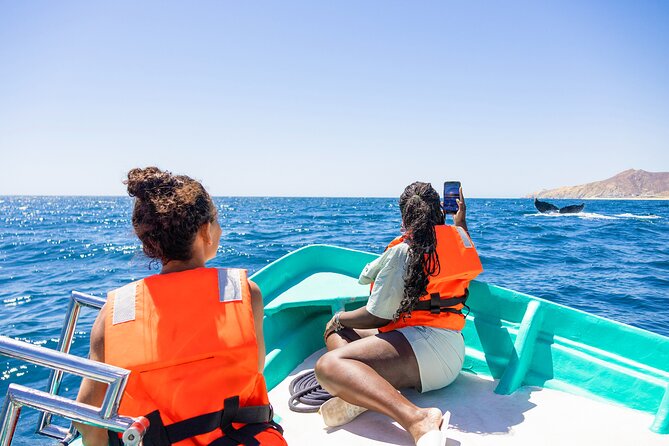 Whale Tour, Arch, Professional Photos & Hydrophone - What the 2 Hours Really Look Like on the Water