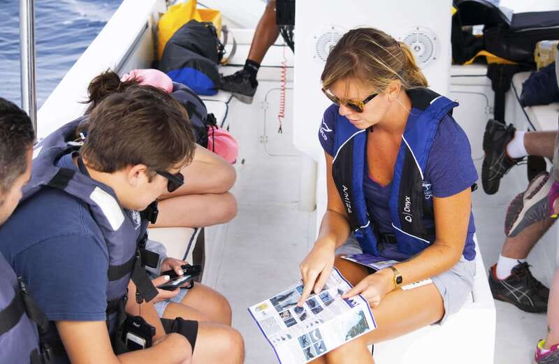 Whale Watch Cabo: Zodiac Whale Adventure - FREE Photos - The 2.5-hour plan: out of the bay and into the search