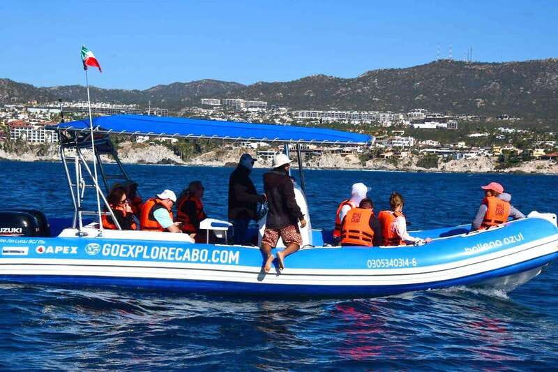 Whale Watch Cabo: Zodiac Whale Adventure - FREE Photos - How the guides help you spot whales without being pushy