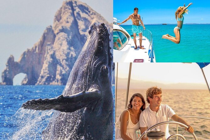 Whale Watching & Arch Catamaran Cruise in Cabo San Lucas - What this Cabo whale watching and Arch cruise feels like in real life