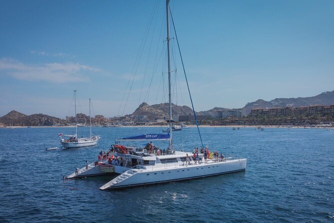Whale Watching & Arch Catamaran Cruise in Cabo San Lucas - The open bar, music level, and how to avoid a mismatch