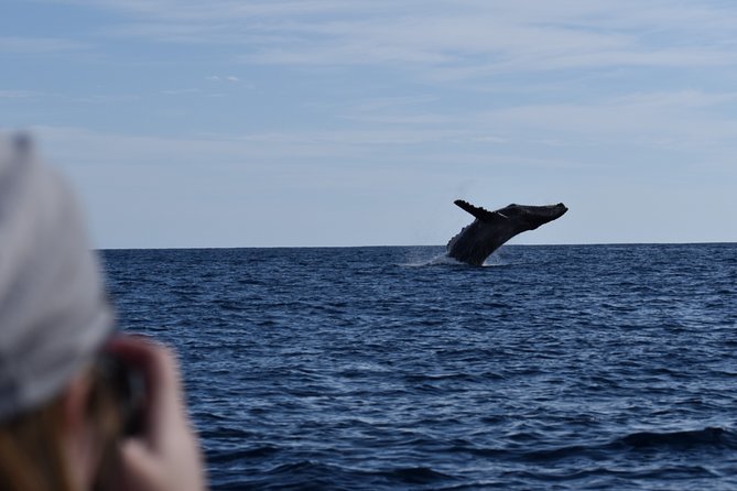 Whale Watching Cabo-Women crew-Sightings Guaranteed & Free Photos - How marine biologists help you spot humpbacks faster