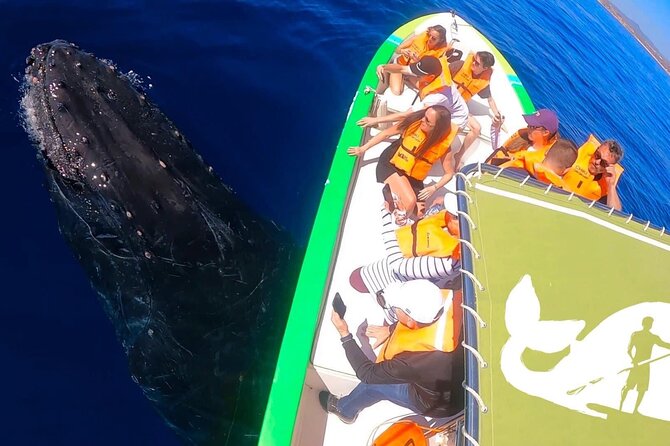 Whale Watching Cabo-Women crew-Sightings Guaranteed & Free Photos - What’s included, and what you should mentally budget for