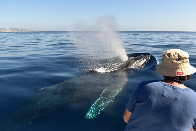 Whale Watching Cabo-Women crew-Sightings Guaranteed & Free Photos - Choosing the Sea of Cortez route vs. the Pacific Ocean