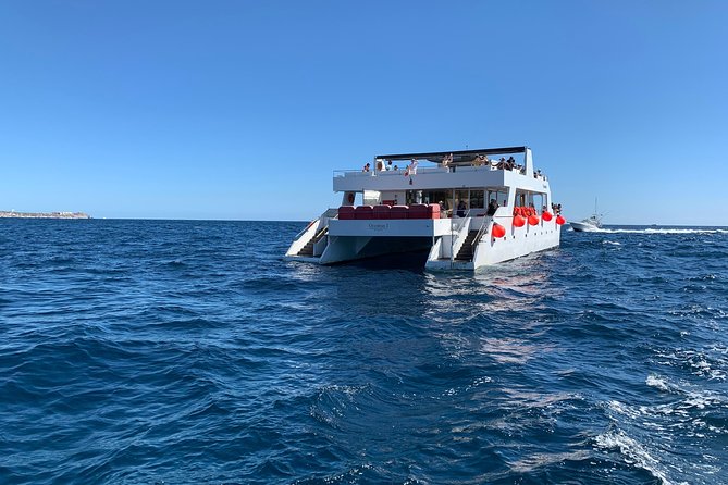 Whale Watching Cruise in Cabos San Lucas and Ground Transportation - Safety and Comfort Details You Actually Get